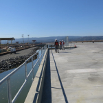 Completed Landside Wharf Deck
