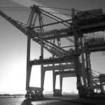 Port of Oakland Berth 55 Cranes